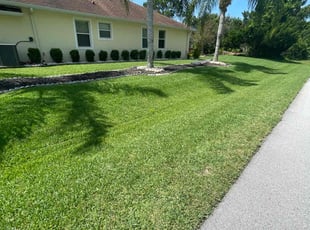Wendy M.'s lawn maintenance service result