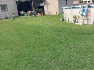 Gagandeep S.'s lawn care service result