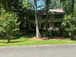 Patricia J.'s lawn service service result