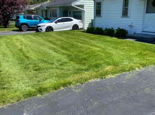 Michael C.'s grass cutting service result