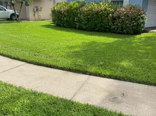 Jemps s.'s lawn maintenance service result