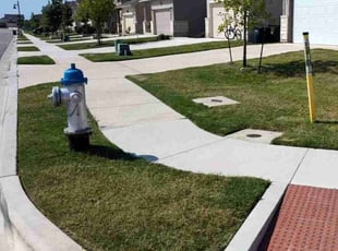 Kouger W.'s lawn service service result