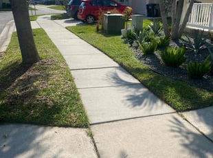 Aaron B.'s grass maintenance service result