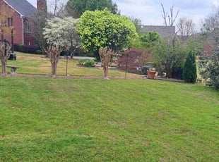 Yrameinna A.'s grass cutting service result