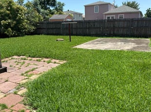 Wanda S.'s turf care service result