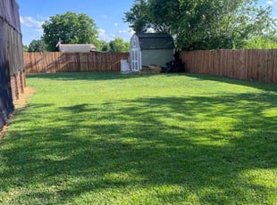 Nicole H.'s turf care service result