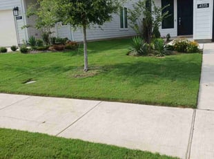 Mary L.'s lawn service service result