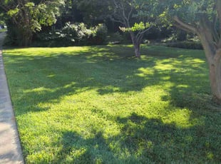 Jessie W.'s lawn care services service result