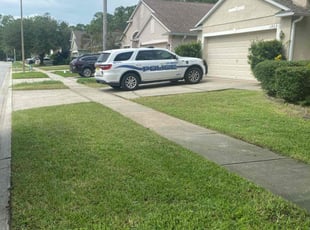 Shantel R.'s lawn maintenance service result