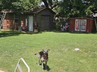 William Y.'s lawn maintenance service result