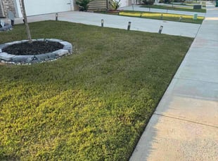 Georgette G.'s turf care service result