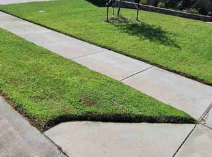 Carly R.'s turf maintenance service result