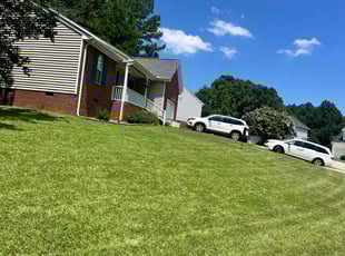 Natalie S.'s turf care service result