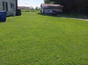 Renesha M.'s lawn care service result