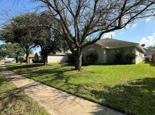Phillip M.'s lawn maintenance service result