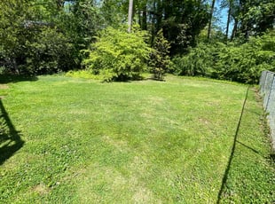 Sarah B.'s grass maintenance service result