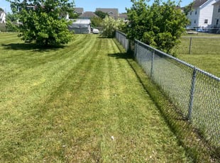 Debra J.'s lawn care service result