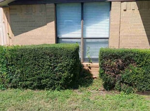 Ro M.'s grass maintenance service result