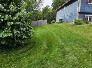 Anthony V.'s grass maintenance service result