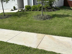 Rhonda K.'s grass cutting service result