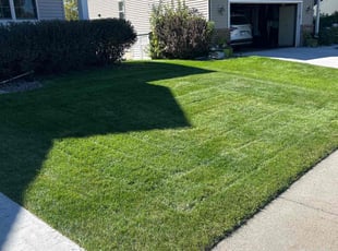 Shirley L.'s grass maintenance service result