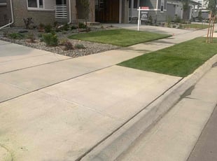 Mary T.'s lawn service service result