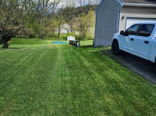 Patrick K.'s grass cutting service result