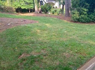 Jonathan F.'s turf maintenance service result