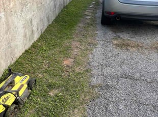 Kathleen E.'s lawn maintenance service result