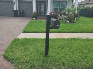 Ed A.'s lawn maintenance service result