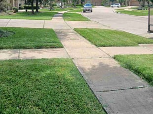 Joseph M.'s lawn care services service result