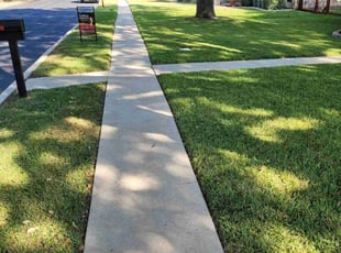Dominic G.'s turf maintenance service result