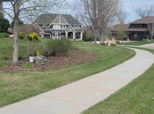 Frank J.'s turf care service result