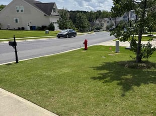 Jessica R.'s grass cutting service result