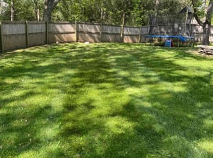 Shelby W.'s turf maintenance service result