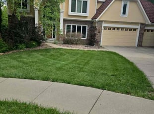 Lori T.'s grass maintenance service result