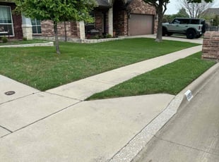 Russ B.'s lawn service service result