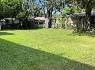 Michele L.'s turf care service result