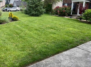 Joe S.'s turf maintenance service result