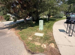 Brittany C.'s lawn care services service result