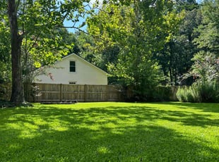 Tanya B.'s lawn care services service result