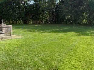 James M.'s grass cutting service result