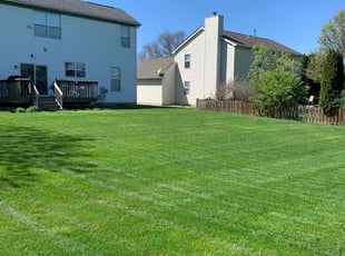 Tammy L.'s grass maintenance service result
