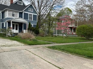 Sohni A.'s lawn service service result