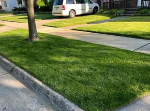 Jennifer H.'s lawn care services service result