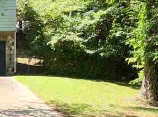 Elizabeth K.'s lawn maintenance service result