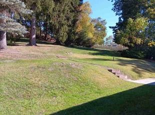 Peggy L.'s grass cutting service result