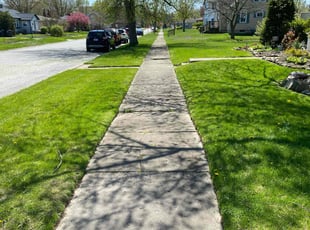 Jessica D.'s grass cutting service result