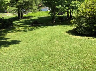 Pernell F.'s grass maintenance service result