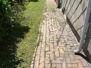 Verba W.'s grass maintenance service result